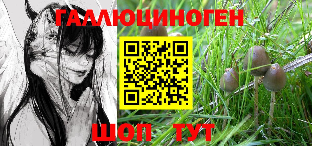 Галлюциногенные грибы мухоморы Севастополь