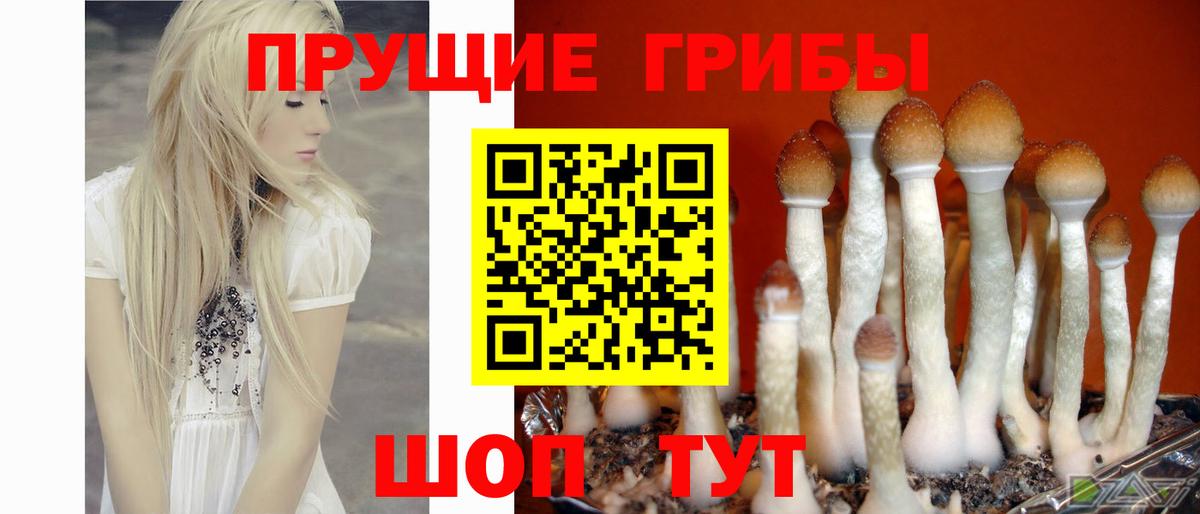Галлюциногенные грибы мухоморы  Галлюциногенные грибы Psilocybe  Севастополь  Вход с VPN 